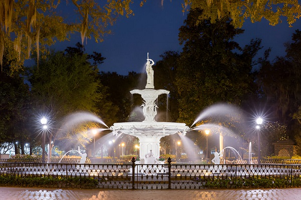 نکات بهترین پروژکتور روشنایی برای فضای سبز